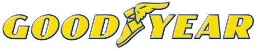 Dummy Logo